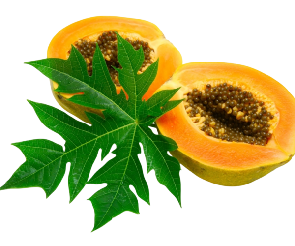 84-843040_papaya-png-image-papaya-a-medicinal-plant-clipart-Photoroom